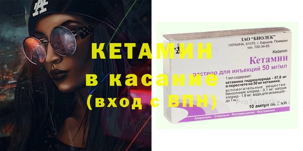 мет Алексин