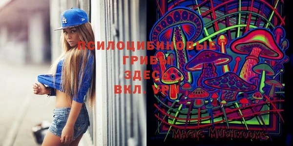 не бодяженный Снежинск