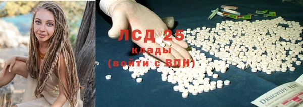 прущие грибы Снежногорск