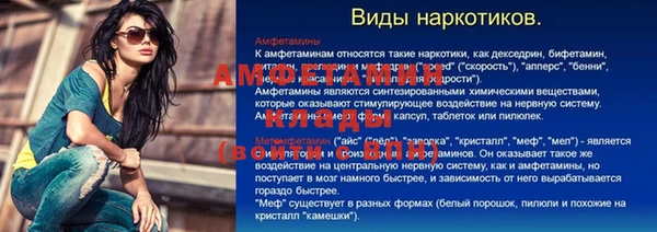мет Алексин