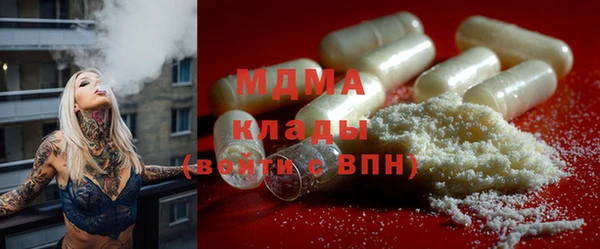 прущие грибы Снежногорск