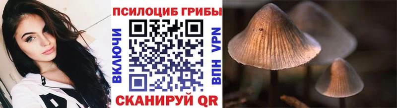 Галлюциногенные грибы Psilocybine cubensis  Купить закладки  Елабуга 